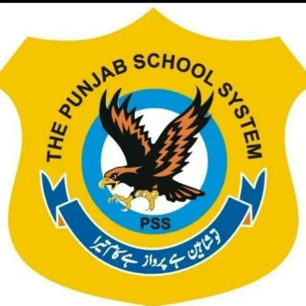 THE PUNJAB SCHOOL SYSTEM